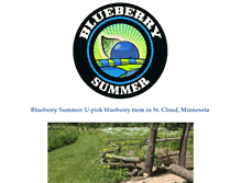 Tablet Screenshot of blueberrysummer.com